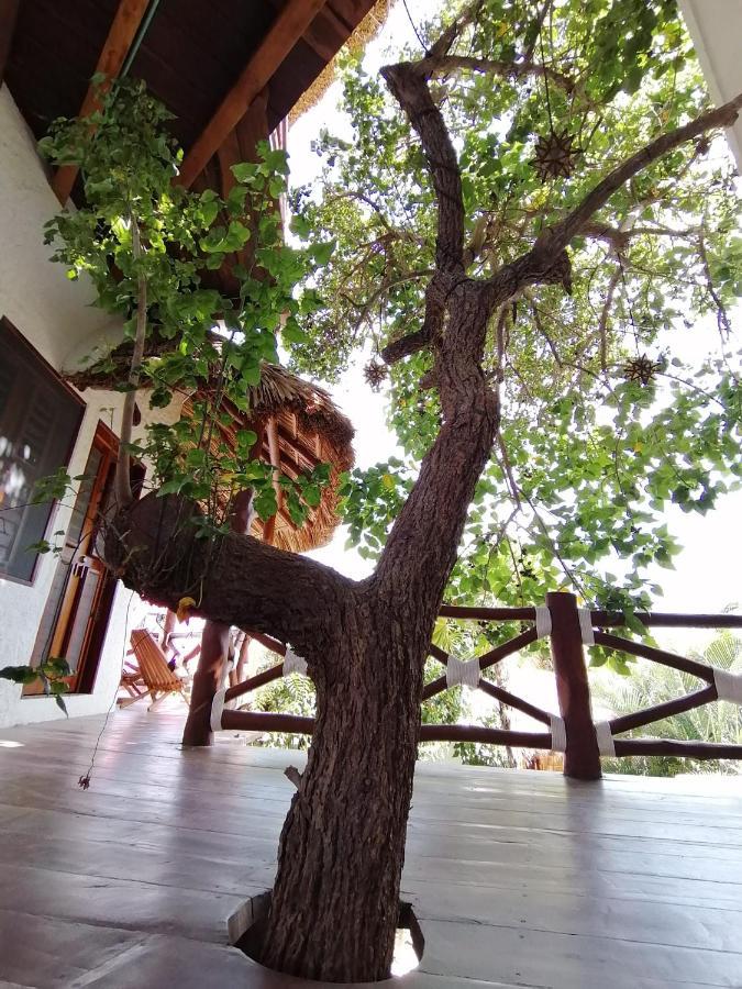 Casa Mech Hotel Isla Holbox Luaran gambar